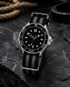Black Sea Diver