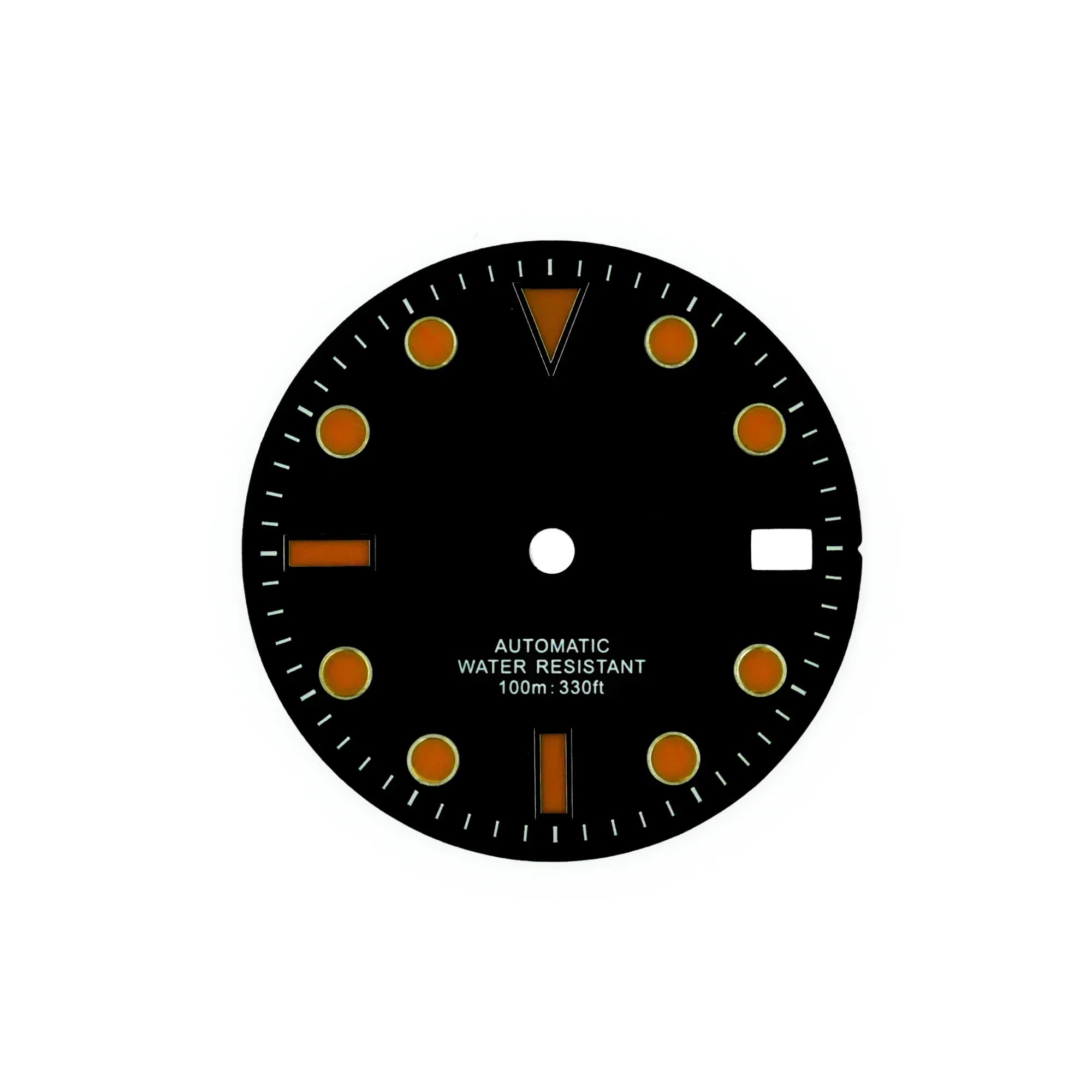Luminous Dials Diver