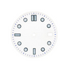 Luminous Dials Diver